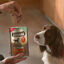 70 g Adventuros Bifes Maxi de Búfalo para cães, , large Indicador imagem número 6